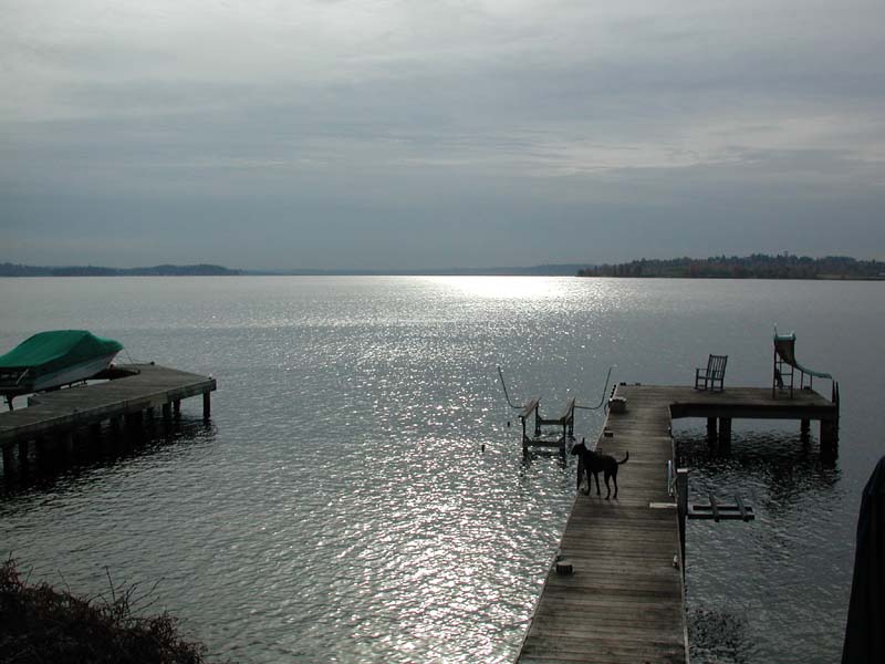 Kirby on dock.jpg 67.0K